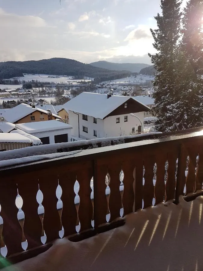 Gaestehaus Steininger Zwiesel